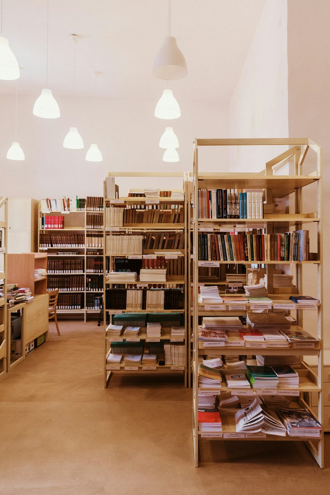 Library with bookshelves